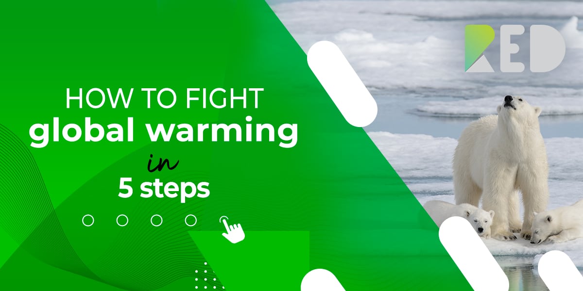 How to fight global warming in 5 steps