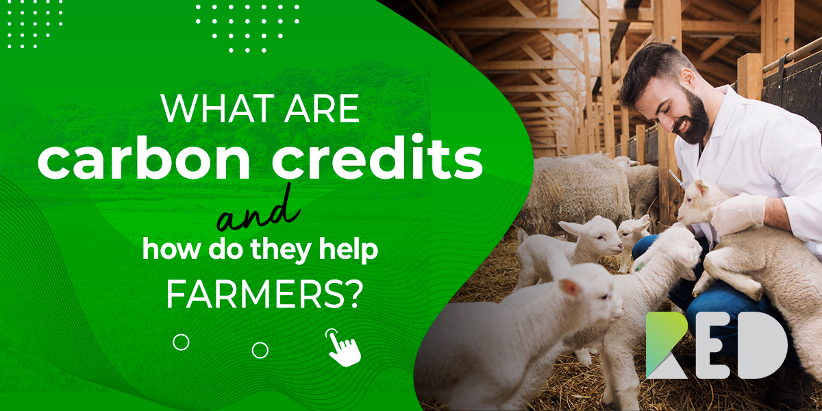 What are carbon credits and how do they help farmers?